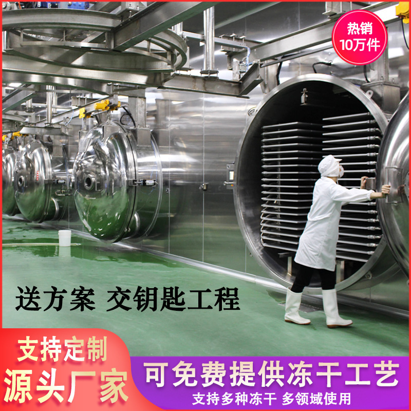 果物と野菜の低温真空凍結乾燥機、大型業務用食品凍結乾燥機、全自動ペット凍結乾燥機|undefined