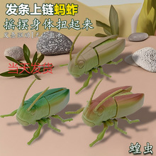 �羳����l�l������֩�����MΛρ�������ģ�̈́��⃺ͯ�������