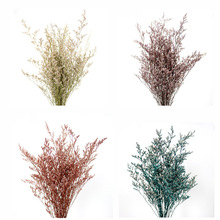 �S�����l�b�Ʒ����DIYľ�޻��ɻ��ɻ������~�滨�JȔ�ɻ���