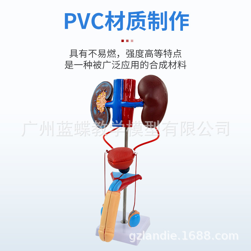 ������������ϵͳģ������ܰ������ ҽѧ��ֳϵͳ�������ģ��