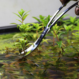 Пинцет из нержавеющей стали, 27/38/48см