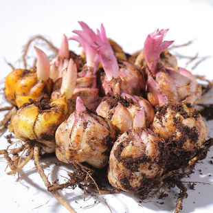 �ٺϷN���ļ��_���҃��⻨�ܾ���������ˮ�ٺϻ��N�Ӻ��B�׻��ذ�