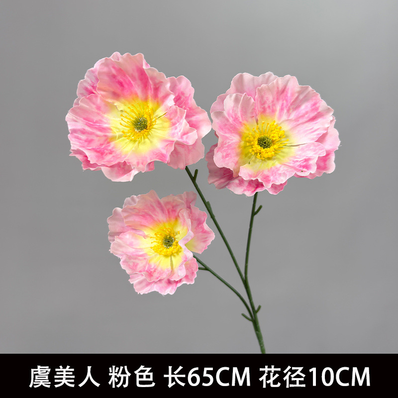 양귀비꽃 핑크