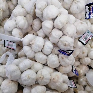 2025���������Ʒ�|�����^����6.5-8.5cm���|���ݴ������l