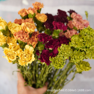 Carnation Dried Flowers Mother's Day Yunnan Manufacturer Wholesale Flower Box Flower Material Bouquet diy Dried Flower Aromatherapy Floating Handmade