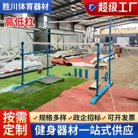 其他健身器材;健身路径;篮球架