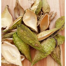 �_Ħ�� ��{�� Ұ���}Ħ�v ɢ�b���]��Ʒ2025��؛ ���Sɫ