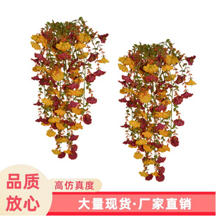 �羳��ɫ���栿ţ���ٗl�ڒ�GֲͥԺ�Ҿӑ����b���