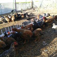 �u���Z�Ԅ�ιˮ����ˮˮ���u�ˮ���Bֳ�u���Ԅ��ˮ�����Ӻ�X20