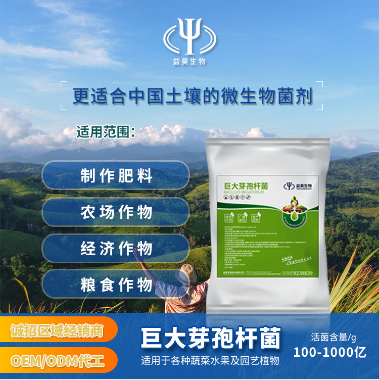 巨大芽孢杆菌农用微生物菌剂解磷细菌降解土壤有机磷生根增产菌肥