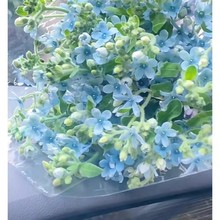 ?{ǻrֱlͥ廨k̄ջY{