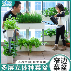 欧林沢源頭工場は多層のベランダを卸売りして野菜の鉢を植えます。