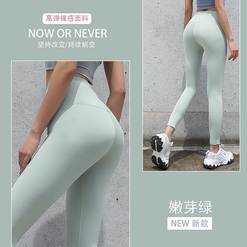 녹색 새싹