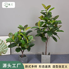 ������Ƥ���҃ȼҾ��bGֲ�͏d������ؼ٘�ֲ��[��������Ƥ��