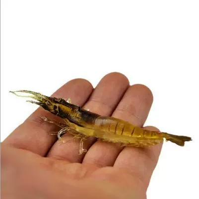 大虾软虫 软饵 路亚饵 9.0cm 6.0g大软虾 逼真软虾 帕莱蒙钓具