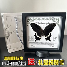 ������˱��Ҹ������Ҿ����w�b[�����Ᵽ�o�������β��P�
