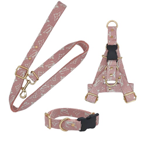 Tide brand large flower dog leash for walking small dogs like Terriers, medium pets like Corgis, and puppies Golden Retrievers, with a chest and back strap.