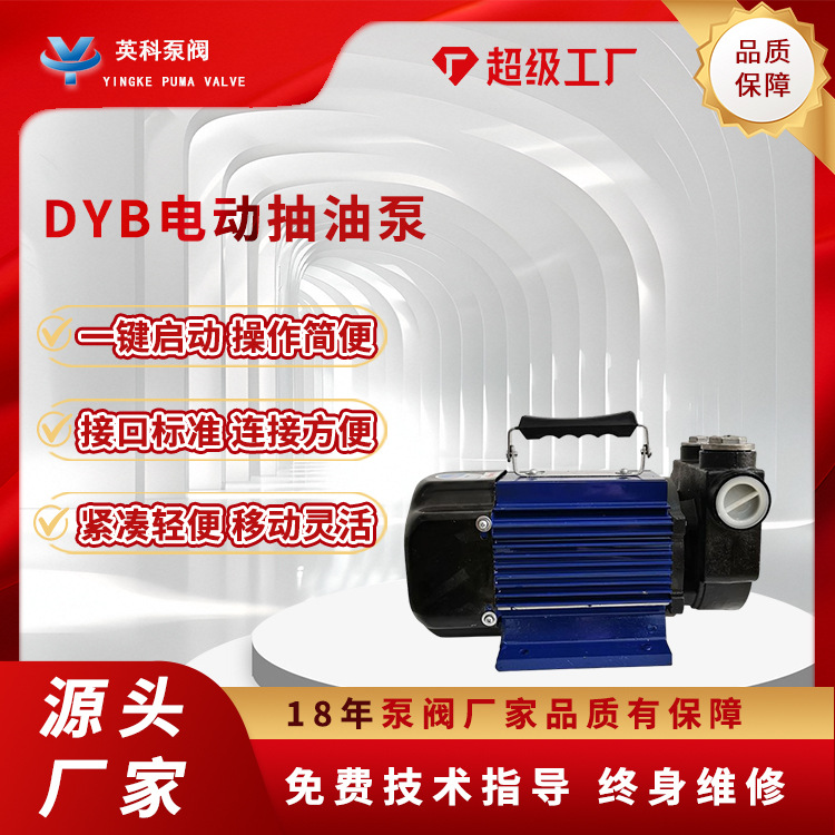 电动抽油泵DYB-80/150防爆铸铁手提式便携220V750w汽柴油自吸泵