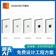 工厂定制岩棉手工净化板 制药洁净室医药工程车间彩钢夹芯岩棉洁