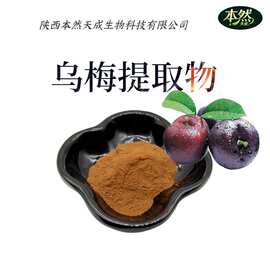 乌梅提取物20:1水溶性乌梅粉果蔬粉固体饮料乌梅果粉厂家现货包邮