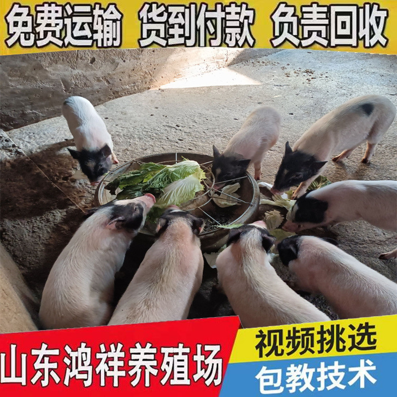 fce941b1f114496ea2613cfe37e499