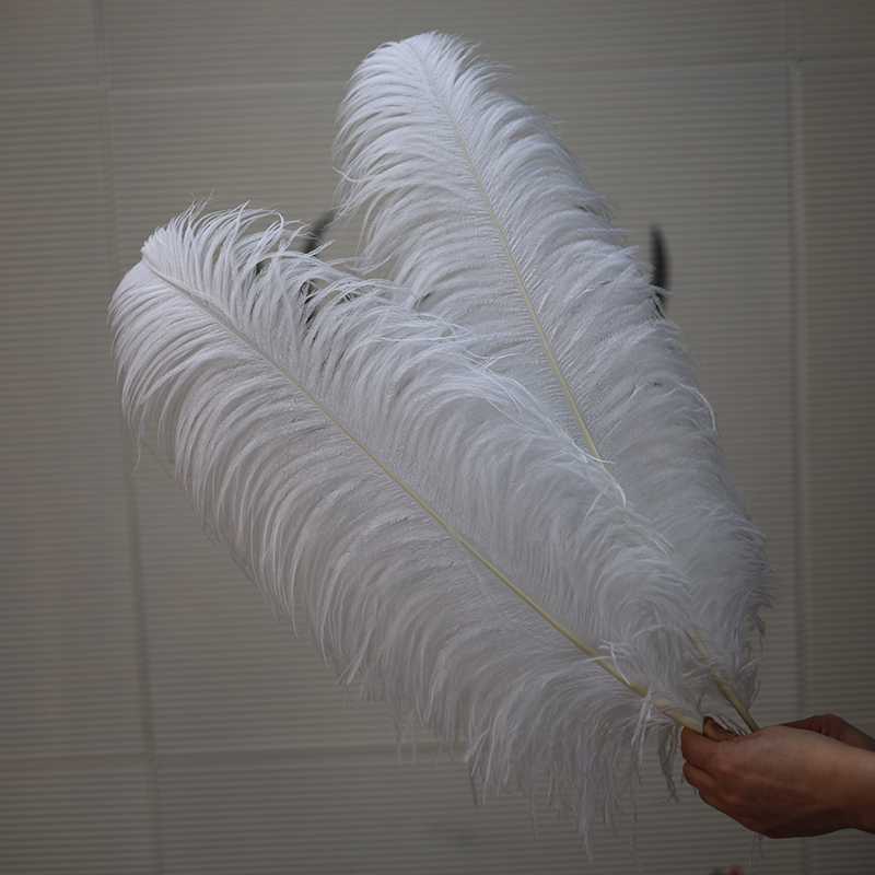 Plumas de avestruz bodas blancas de avestruz guía de plumas accesorios de fotos adornos rojo rosado en línea grandes plumas decoración