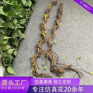 发泡枯藤枯枝树枝仿真藤蔓藤条花艺园林景观造景青苔嫩芽粗藤定制