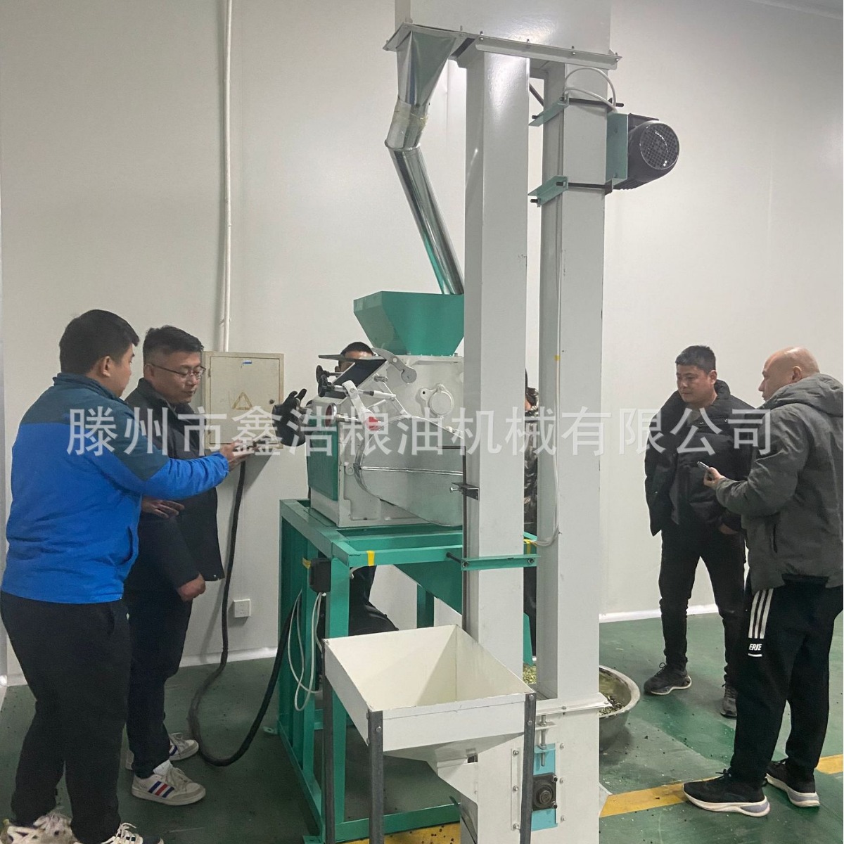 小麦高粱粉碎机 大豆挤扁机小型半自动面粉机