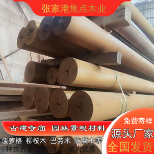 �S�����l�A�� ���޲��}�� ������ľ���� �̈́�ľ���� �y������