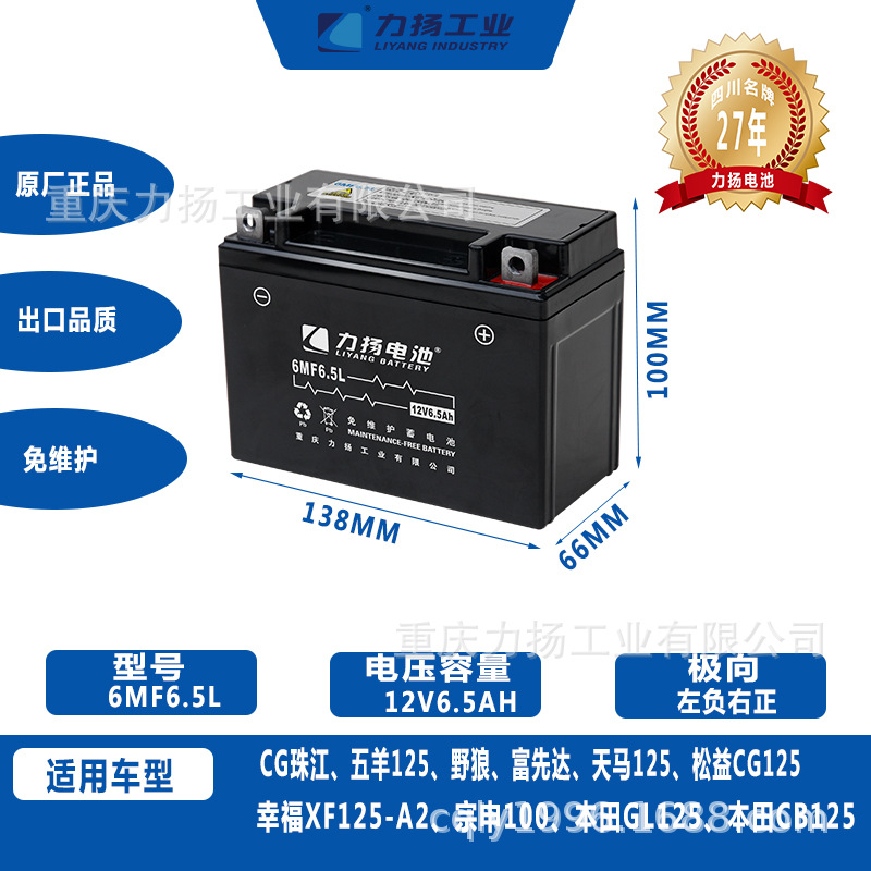 重庆蓄电池厂家生产销售通机/割草机免维护电池6MF6.5L