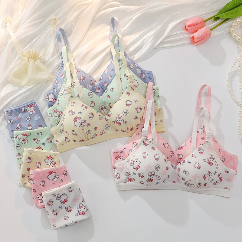 Sweet Cartoon Kt Cat Intimates Women's No Rims Small Breast Push-Up Summer Thin Student Triangle Cup Comfortable Bra Sweet Cartoon Kt Cat Intimates Women's No Rims Small Breast Push-Up Summer Thin Student Triangle Cup Comfortable Bra