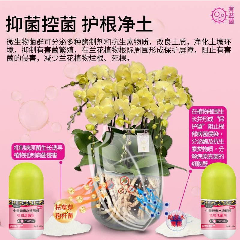 Водорастворимое удобрение для выращивания цветов и защиты корней, порошок живых бактерий для растений, микробный агент, специальный для орхидей, для питания и укрепления корней, предотвращает гниение корней.