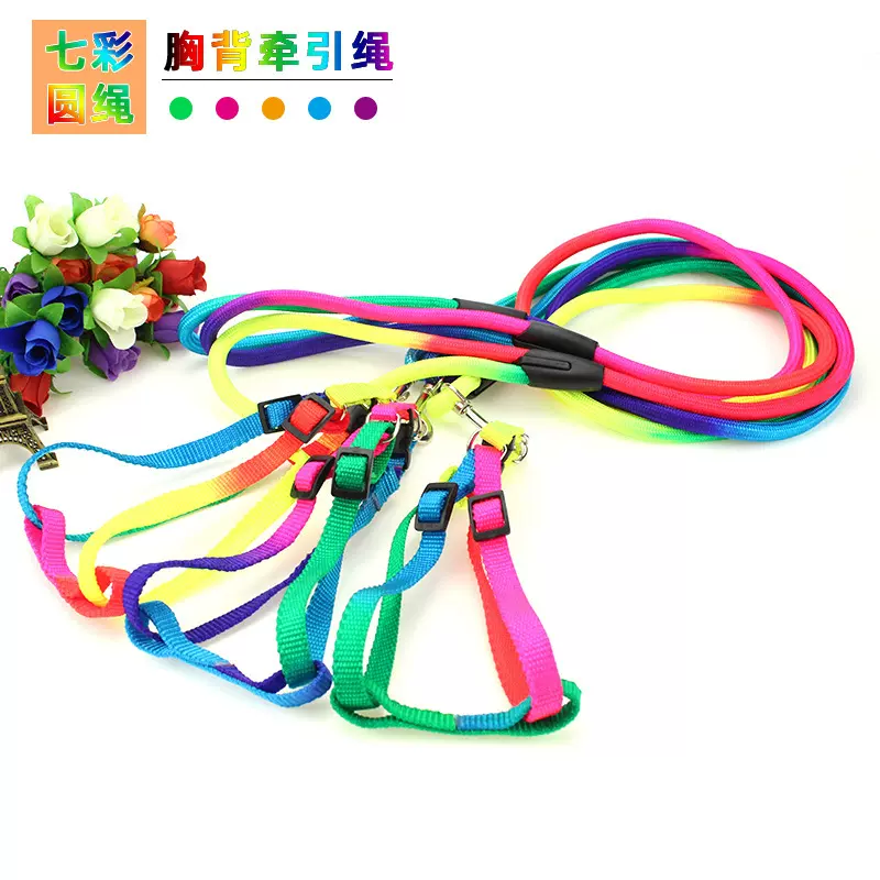 批发七彩圆绳宠物牵引绳狗狗牵引带项圈猫咪胸背带狗链遛狗绳用品