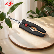 �S�����l���r����K020���P䓳�з���ߺ��r����з���r����N������