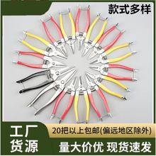 �_������17���״��S����ɰ����ժ����Ě��С�S���̽ۼ��X������