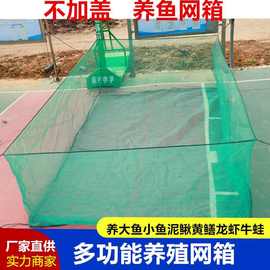 加厚养鱼专用网加盖网箱箱鳝鱼养殖巢养鱼网箱存鱼网箱