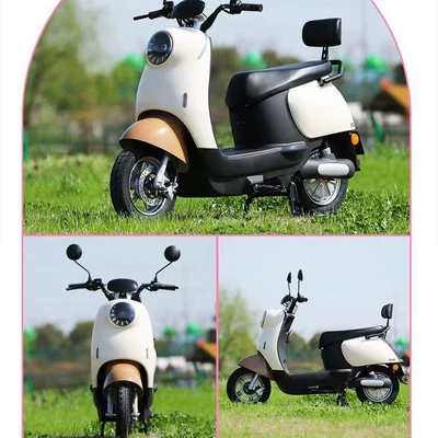 Elektrikli motosikletlər Two-Wheel Electric Bicycle Available for