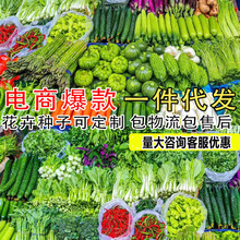 һ�����l�߲˷N�ӽz�������Ϲϰײ˶������Ӻ��������t������}��