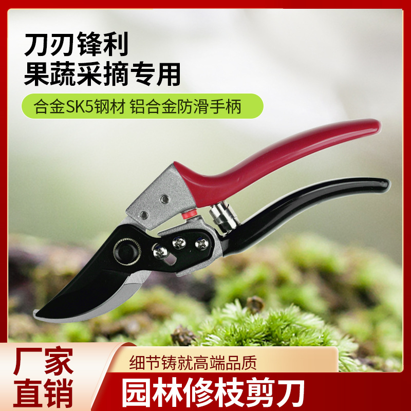 剪树枝专用剪刀修枝剪园林果树粗枝省力大剪刀sk5强力花艺园艺剪