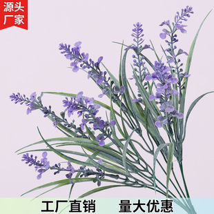 ����޹�²��ȼ����������_�m�軨��ţ�����ϼٻ������b��҃Ȕ[��