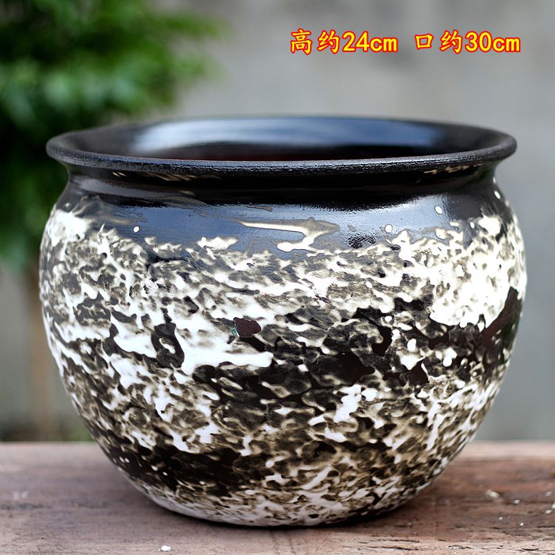 Zisha, carnosa, gran maceta de phalaenopsis, plantas verdes, paisaje, jardín, balcón, moda interior, cerámica simple, transpirable