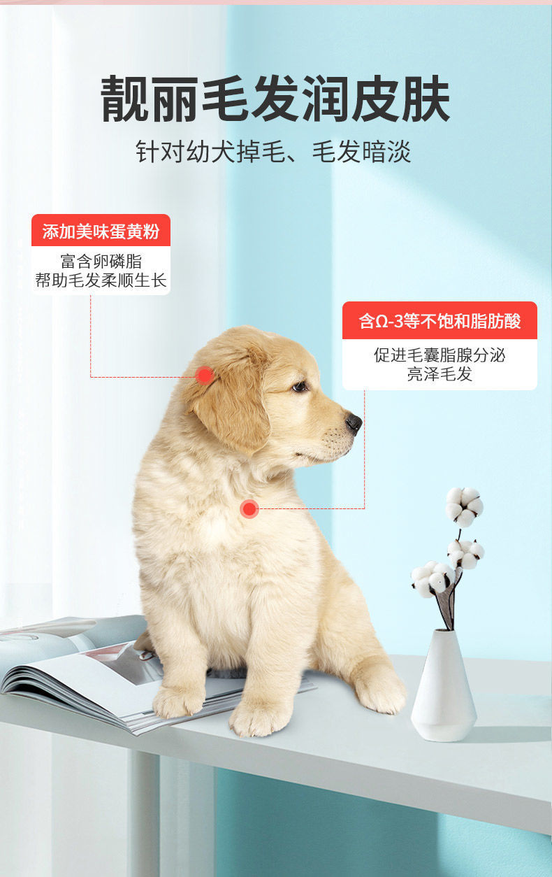 f34cac76-1de7-41ef-9a4b-88e02f494660.jpe