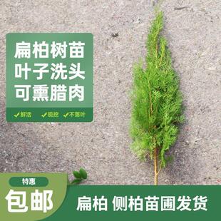 ���ؘ���Ȱر���ɰؘ����ɘ����������֦�����~�����ļ��L��