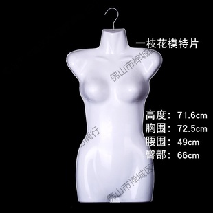 Ůʿǰ����ģ����Ƭ��ʿ���w�¼ܓ΃�ͯ����Ӿ�bչʾ���ߝh����