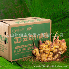 有机带泥鲜姜 500g/盒云南有机鲜小黄姜支持一件代发产地直销