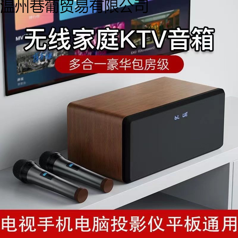 Home Ktv Audio Set Connected to Tv Singing Karaoke All-In-One Machine Small with Wireless Microphone Karaoke Entertainment
