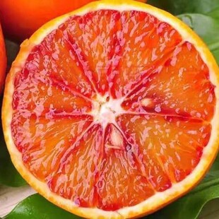 ����S��20���Ϙ��Ĵ���ɽ���_��õ��Ѫ�ȬFժ�F�l