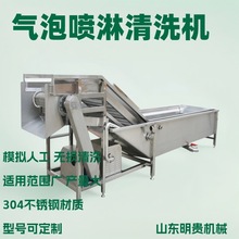 桑芽菜气泡清洗机 枸杞蔬菜清洗流水线 连续式涡流洗菜机器