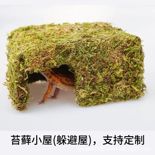 苔藓工艺品植物工艺品苔藓小屋模仿洞穴蜥蜴躲避屋寄居蟹躲避屋