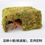 植物模仿洞穴寄居蟹小屋